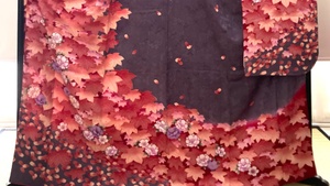 Frische & Farbenzauber, Der Kimono im Herbst von Ruth Jäschke