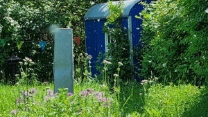 kleiner Wildkräuterspaziergang - Wildkräuterei Köln