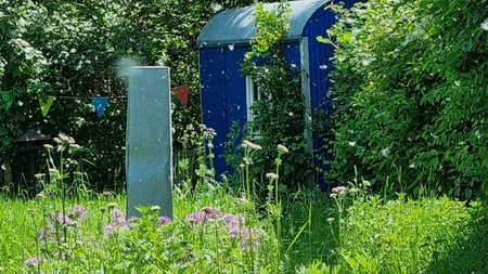 kleiner Wildkräuterspaziergang - Wildkräuterei Köln