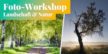 Fotokurs: Landschafts- & Naturfotografie