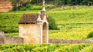 Chardonnay Masterclass