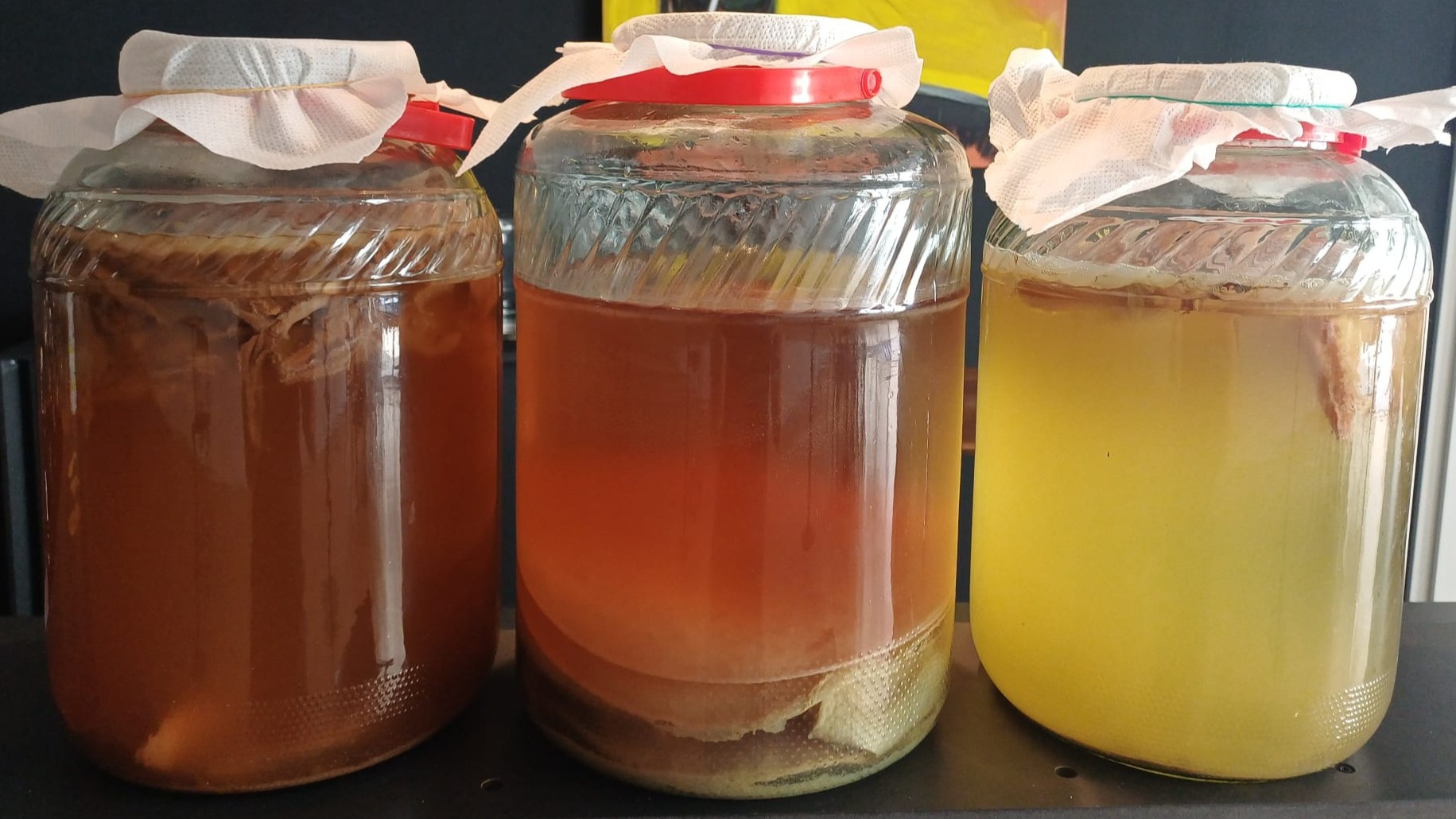 Kombucha, Wasserkefir, Ginger Bier & Co - Fermentations Workshop