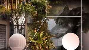 Zweites Kinderkonzert: Peter und der Wolf