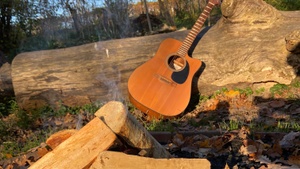 Wald-Weihnachtssingen Waldzeit Köln