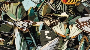 pae white - pushmi-pullyu