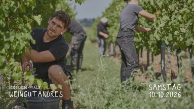Winzertasting - Weingut Andres