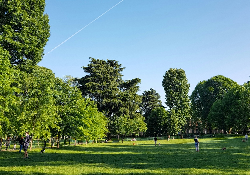 House im Wald open air