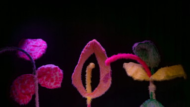 Tülvistas: Zuckerwatte in Echt (10+)