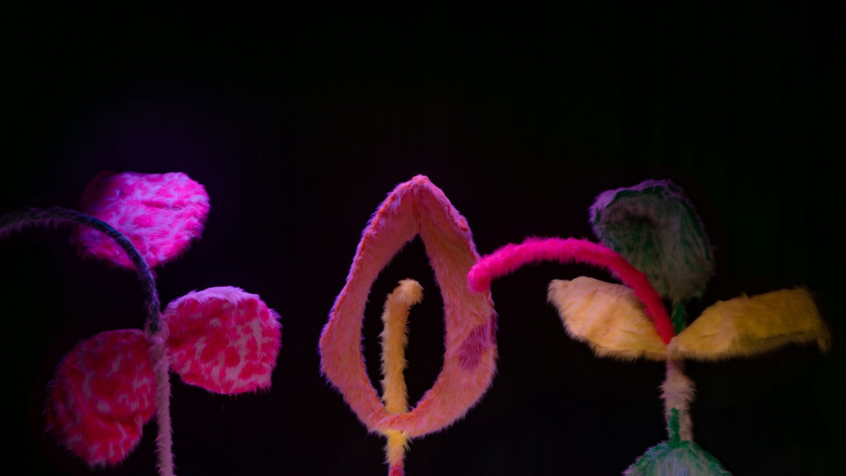 Tülvistas: Zuckerwatte in Echt (10+)