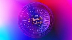 3 BANDS 33 SONGS - SUNTHING / RUBIK / BEETS ´N´ BERRIES - KONZERT & AFTER-SHOW-PARTY