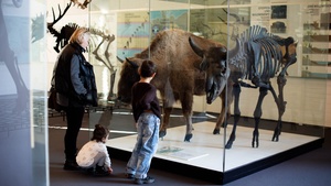 Eintägiger Ferienworkshop für Kinder von 6-10 Jahren: Eiszeittier Mammut