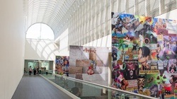 Museumsufer Frankfurt