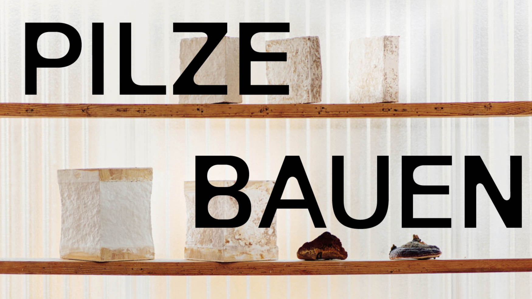 MYCO+ | Pilze bauen Stadt