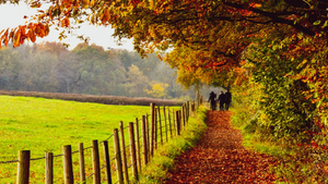 Autumn Walk & Glühwein Vibes