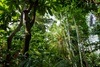 Botanischer Garten München-Nymphenburg