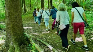 Walk&Sing für Frauen*