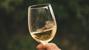 Weinfest am Rathausplatz