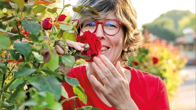 Katrin Iskam - Gärtnern ohne viel Geschiss