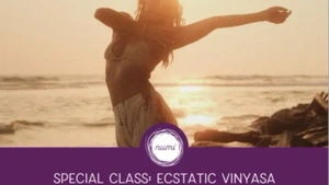 Ecstatic Vinyasa