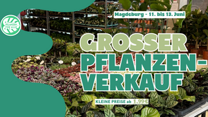 Großer Pflanzenverkauf Magdeburg