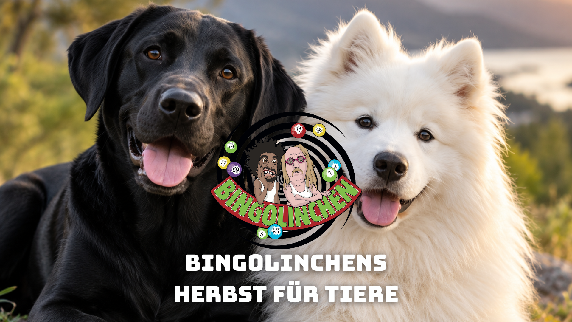 Bingolinchens Herbst für Tiere