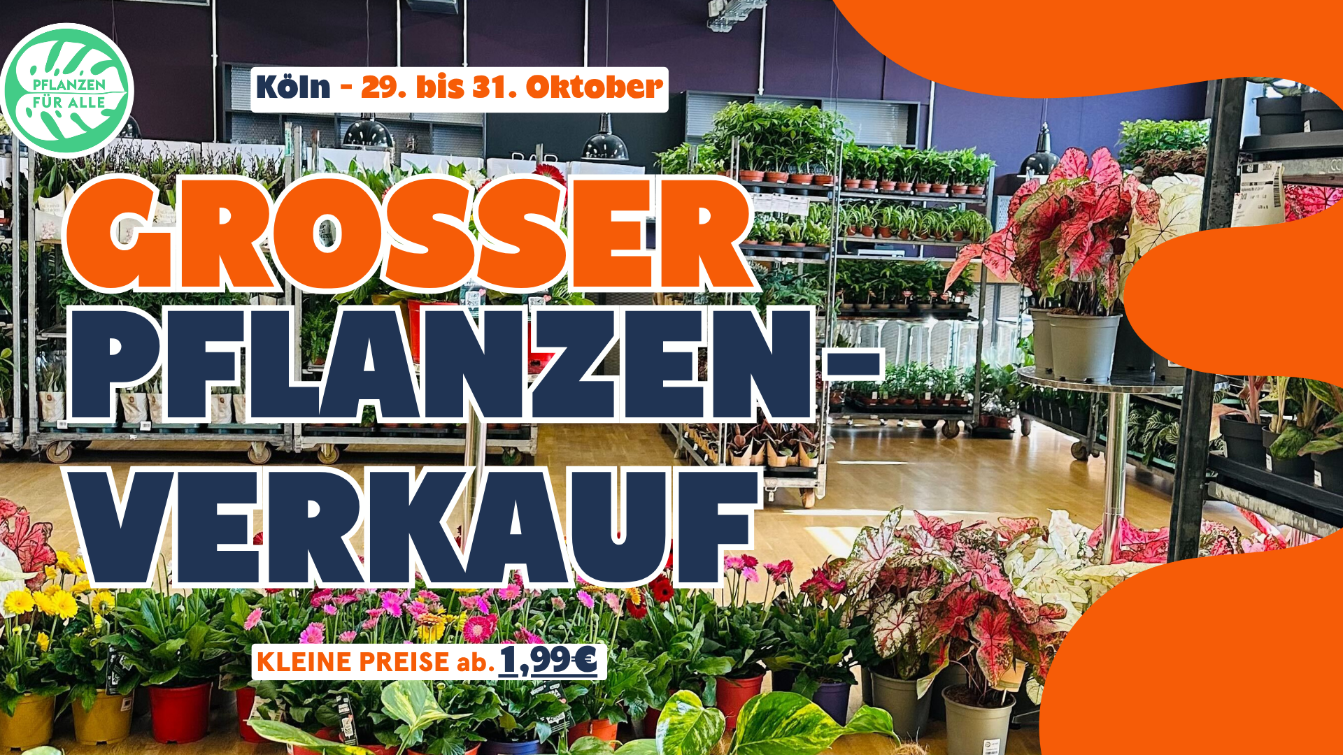 Großer Pflanzenverkauf - Köln