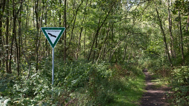 Naturkundliche Exkursion über die Halde Zollern