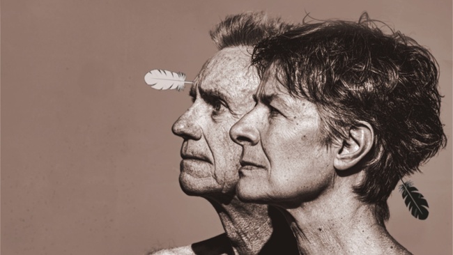 Faltsch Wagoni - Die letzten Ironesen