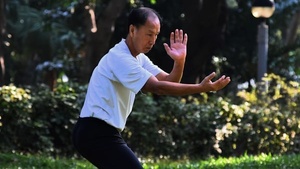 Tai Chi