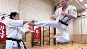 Seishin Kyokushin Intensivtraining - Power & Technik in Berlin