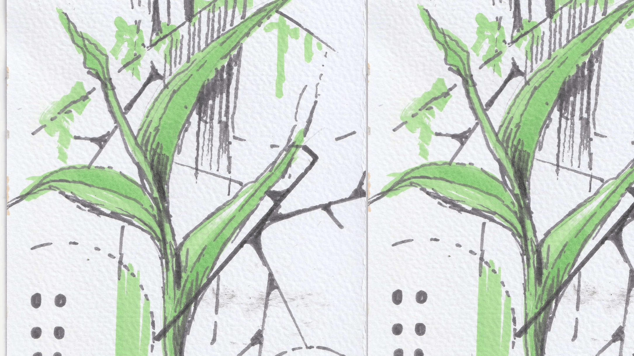 Der winterfeste Garten - Workshop im HofGarten