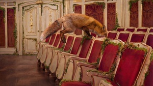 Das schlaue Füchslein