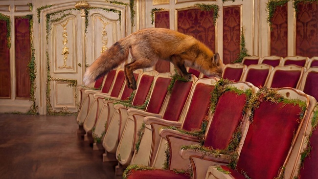 Das schlaue Füchslein