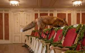 Das schlaue Füchslein