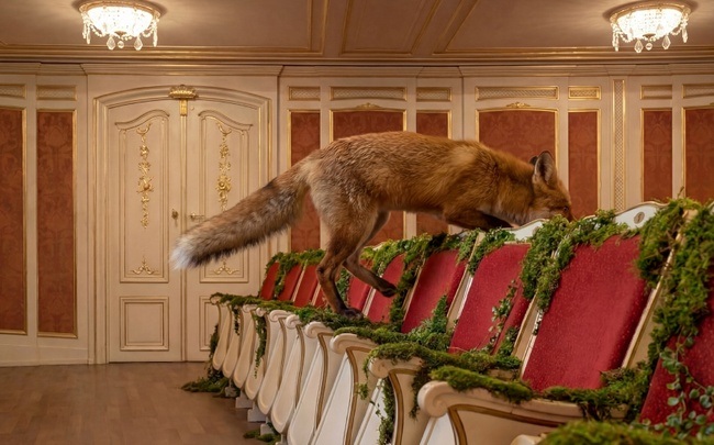 Das schlaue Füchslein