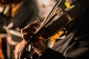 Die vier Jahreszeiten