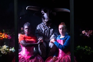 Stella – A Play for Lovers
