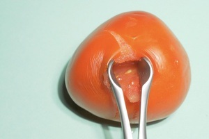 Eva Meyer-Keller: Turn The P/Age