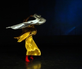 Shows You (maybe ) Missed