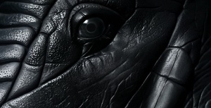 Kammerkonzert 5: »Von Tieren und Menschen«