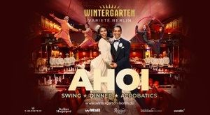 AHOI - The Acrobatic Swing Show