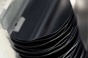 Lo Höckner: Beyond Overwhelm – Somatic tools for shifting from individual struggle to a collective one