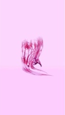 DER BESUCH DER ALTEN DAME