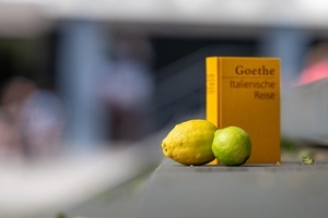 4. Tischlereikonzert: Wo die Zitronen blühen – Sehnsuchtsort Italien