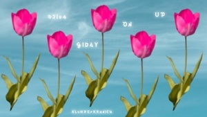 KRANICH SEASON OPENING 2026 | GIDDY ON UP! w. Cane Cattivo *live, Gwen Wayne, Elizen The Emperor, Gräfin Zobel, Robin Schellenberg, Emorine, Ilo Pan, Vamilienfa†er