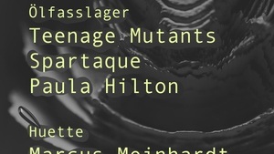Teenage Mutants, Spartaque, Marcus Meinhardt & more