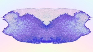 BLAUES STÜNDCHEN w. dj fat lip & Hannahconda