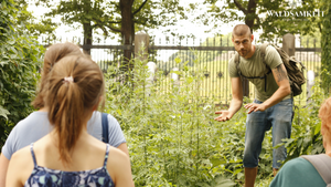 Wildkräuterwanderung Berlin