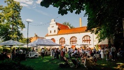 freiheit fünfzehn