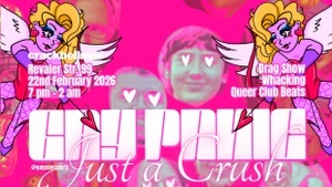 GAY PANIC - JUST A CRUSH